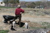 Working with lambs